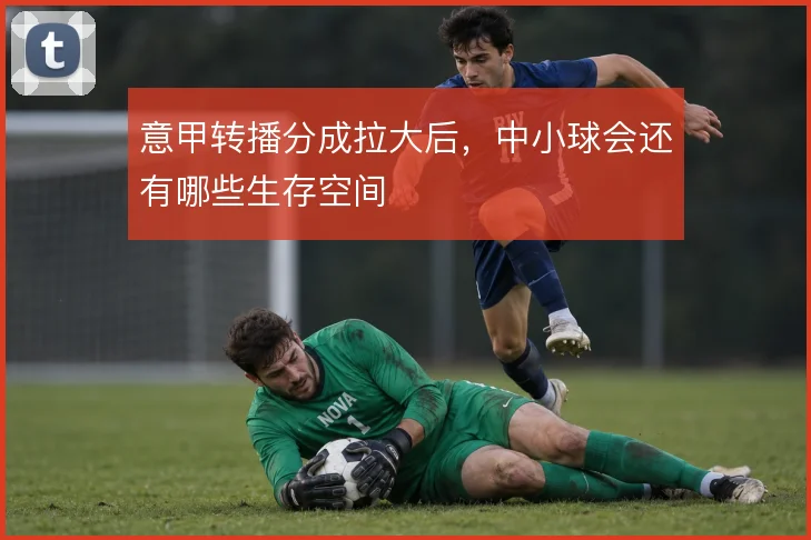 意甲转播分成拉大后,中小球会还有哪些生存空间