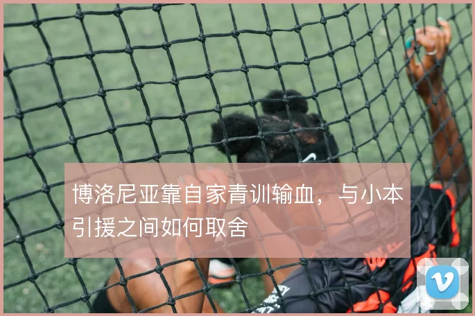 博洛尼亚靠自家青训输血,与小本引援之间如何取舍