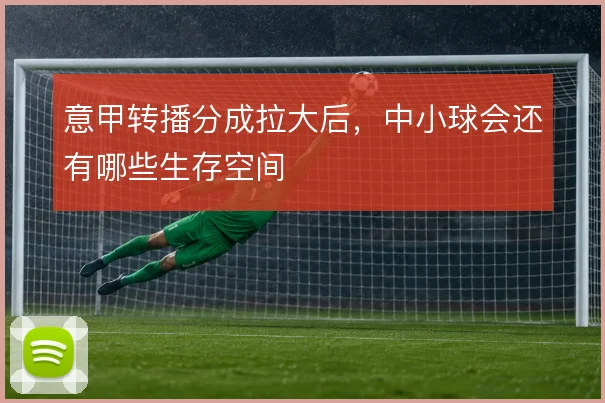 意甲转播分成拉大后,中小球会还有哪些生存空间