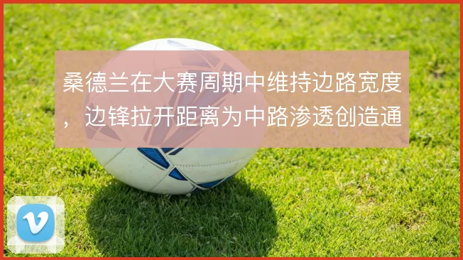 桑德兰在大赛周期中维持边路宽度，边锋拉开距离为中路渗透创造通道